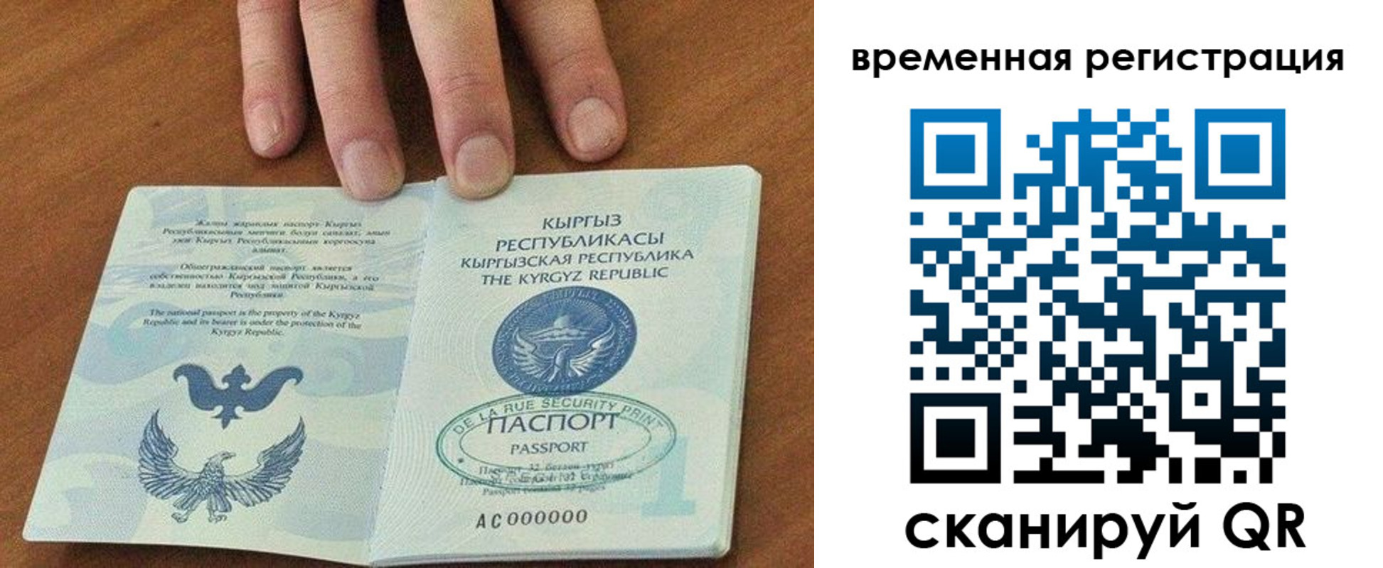 прописка ребенка в Жуковском